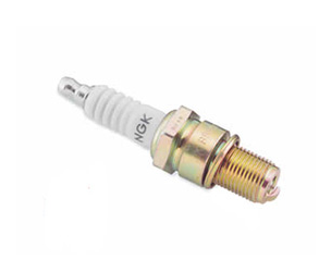 NGK Spark Plugs